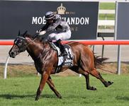 Houtzen to put Everest hopes on show