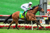 Group 3 Victory For Eptimum