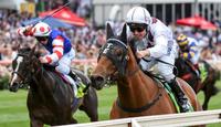 Eptimum takes on Houtzen in Coolmore