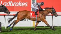 Gold Coast filly Houtzen gets a feel for Flemington straight course
