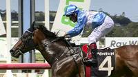 Reformed Locus Gives Edmonds A Thrill