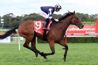 Inside Bernborough handicap barrier ideal for Zahspeed