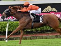 Nozi cashes in with winning December trot