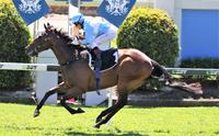 Whypeeo back to best form in Gold Edition