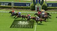 Dauphin de France Wins at Doomben