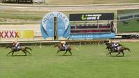 Givem Hell Wins at Gold Coast