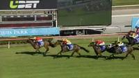Awake The Stars Wins at Gold Coast