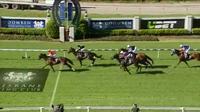 Inspired Estelle Wins at Doomben