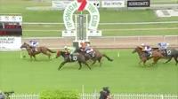 Real Kaos Wins at Ipswich