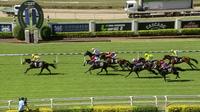 Dream Master Wins at Doomben