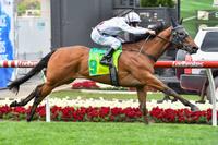 Edmonds Racing Newsletter - January 2018