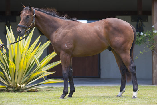 Pierro X Pickin