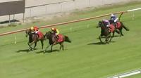 Awake The Stars Wins at Gold Coast