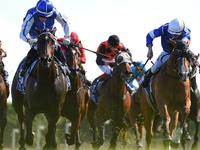 Edmonds Racing Newsletter - February 2018