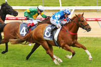 Stride Out Wins at Mornington!