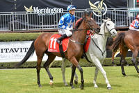 Deep Purple Wins At Mornington!