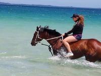 BEACHWORK THE KEY TO SOLAR'S STELLAR FORM