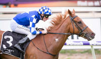Prize Catch Wins Ascot Gold Cup!