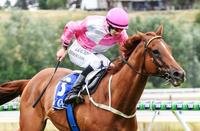 Startierra backs up for Strong Win