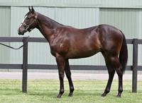 Our First Buy for the Sales Season - What a Ripper!