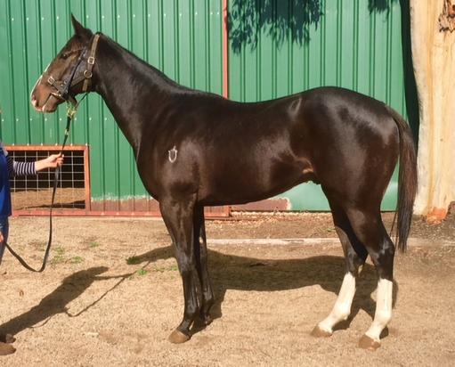 Love Broker
