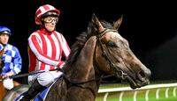 Exciting 4YO Flying Murty sold to Hong Kong