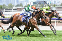 GREG EURELL HOPES MATURITY WILL MAKE A HORSE OF O’TAUTO