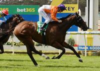 Redcore Sprints away at Bendigo