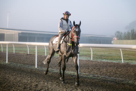 Star Missile