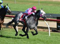 Star Missile kicks off campaign with a Strong Win