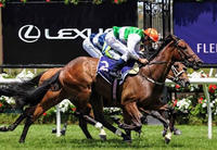 Larneuk Stud Bred Duo Chasing $500,000 Melbourne Cup Country Final