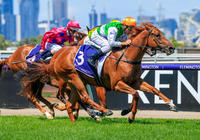 $700 mare produces Stakes Winner