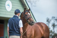 march-a-good-month-for-toronado