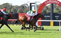 Ilovethegame too good on debut at Sandown