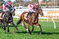 Former shuttler doing Eurell’s stable proud