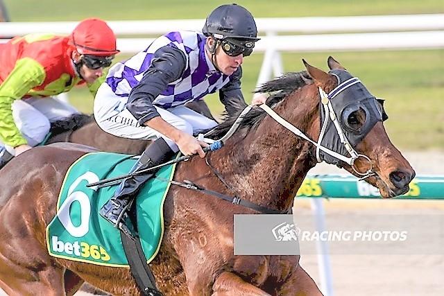 Missandei rules at Geelong