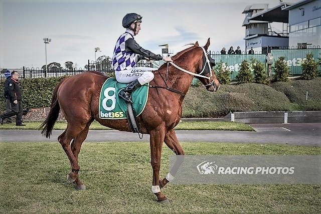 Deja vu for Lycka Till