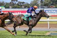 American Summer does it in style at Geelong!