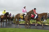 800 Happy Owners cheer Mossbeat home.