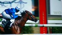 Another great win from Itz Invincible