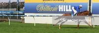 Under the lights of Moonee Valley