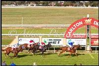 Impressive first up win for Imperial Journey