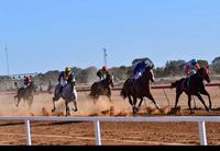 Pooncarie Races