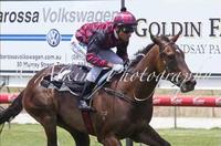 2 from 2 by this classy filly