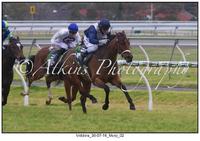 3 RUNNERS HEADING TOWARDS BIGGEST DAY ON GOLD COAST