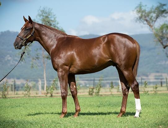 LOPE DE VEGA X SECRET THYME