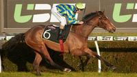 Super Win By Promising Horse
