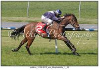 Viddora & Get The Nod To Gallop Between Races Saturday