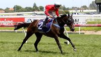 Angelucci Dominant At Caulfield