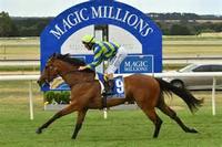 La Pomme De Pin On Target For Wyong